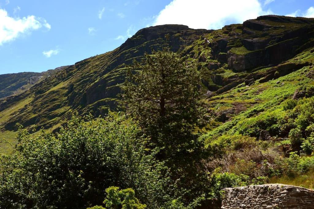 Secluded Cottage Nestled In The Beara Peninsula Cill Airne Esterno foto